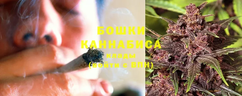 цены наркотик  Куса  Каннабис OG Kush 